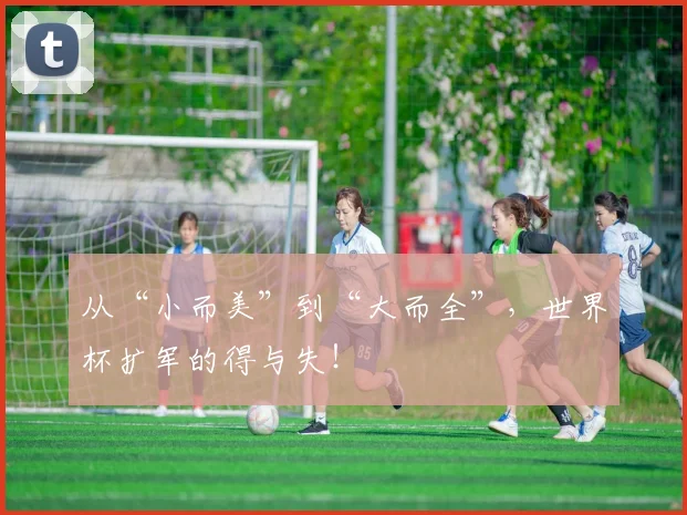 从“小而美”到“大而全”，世界杯扩军的得与失！