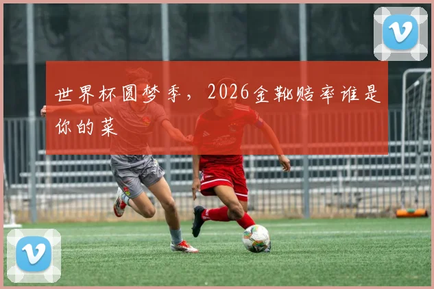 世界杯圆梦季,2026金靴赔率谁是你的菜